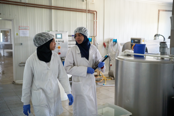 qatar-muslim-female-business-woman-team-company